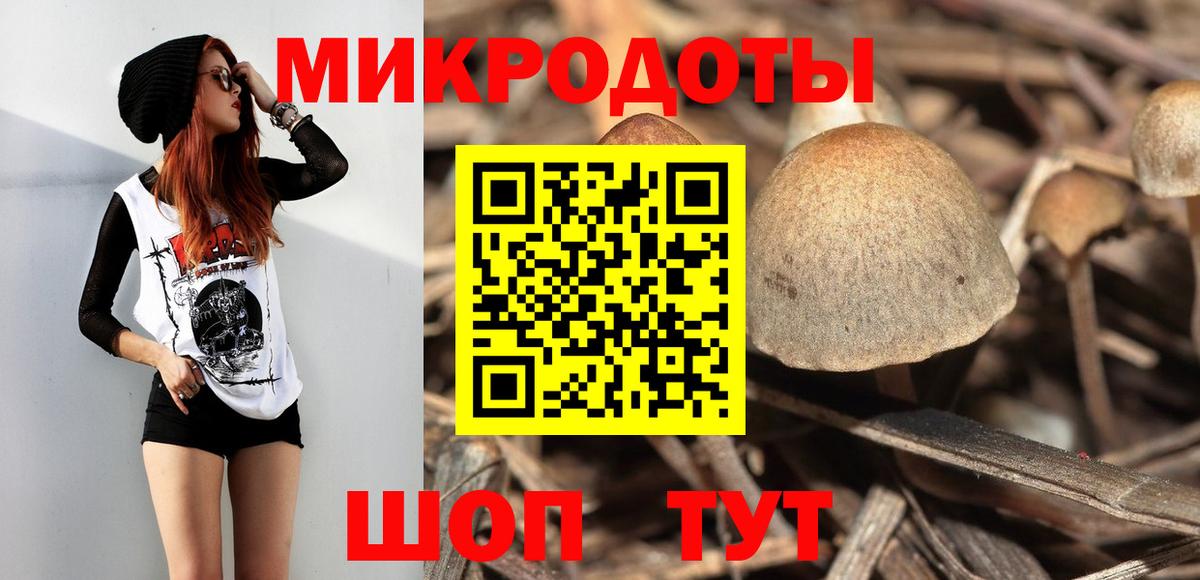 Галлюциногенные грибы GOLDEN TEACHER  Галлюциногенные грибы GOLDEN TEACHER  Вход с VPN  Кузнецк 
