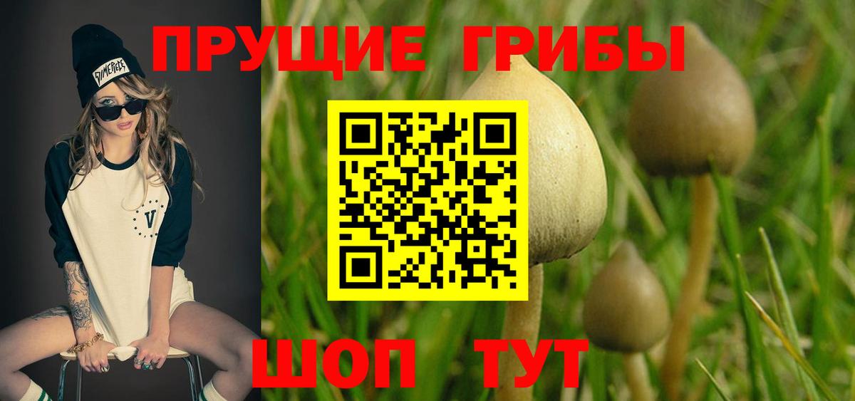 Псилоцибиновые грибы ЛСД Кузнецк
